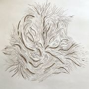 5.Carol-Newborg-East-of-Las-Vegas-