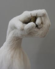 4-Secrets-Cricket-det.©Pamela-Blotner