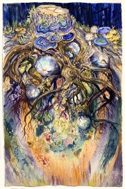 Weadportfolio_ForestOrchestra