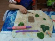 IMG_20190701_193056