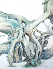 Lynn_Stephenson-Intertwined