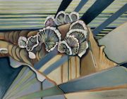 Turkey-Tail
