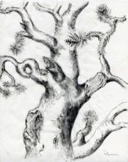 Joshua-Tree-Mother-Tree