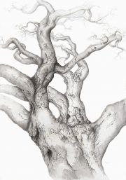 Untitled, Tue Apr 02, 2024, 10:55:30 AM,  8C, 10280x14286,  (663+838), 150%, a,  1/30 s, R57.2, G27.5, B40.9