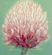 From-History-of-Flower-5-