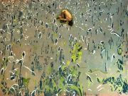 From-History-of-Human-1