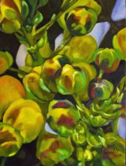 Bursting Florets improved