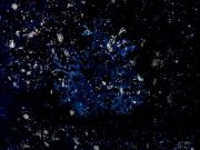 Lichen-Descending