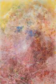 Davis_Rachael_Field01