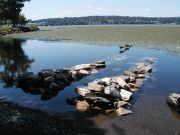 emergences-riverfront-park-2003-view-2