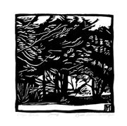 meloybeachpine72