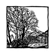 meloywintertree