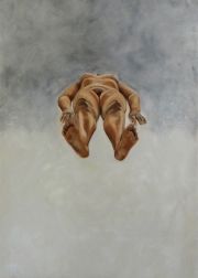 riavandeneynde_theanatomylesson_panel2