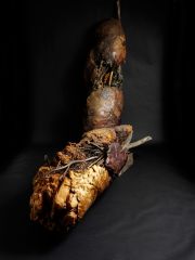 Close-to-Our-BonesBeing-copy-copy