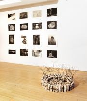 We-are-All-Connected