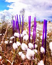 inbound2609200674550648795