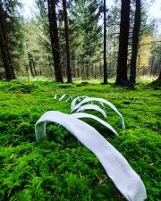 inbound8651224928197123969