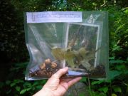 black-oak-bag-in-hand-sm