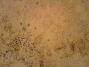 wead-photo-5