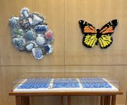 FullViewLibrary725