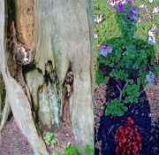 mueller_perseverance150