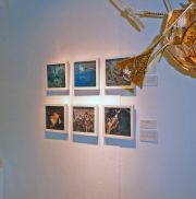 mueller_weismangallery150