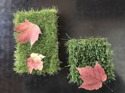 II-Fall-reduced-size