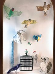 12.Conference-of-the-Birds