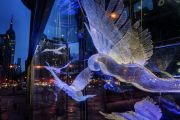 6.Rise-Above-photo-Richard-Kranzler