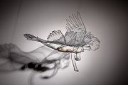 9.Jingwei-Bird-Tries-to-Fill-the-Sea-photo-Howard-Goodman