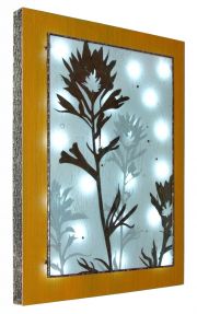 rose_sawyer_indianpaintbrush