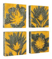 rose_sawyer_poplarandpaintbrush-cc-3mb