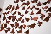 sm72mariposamachismooverviewutsa