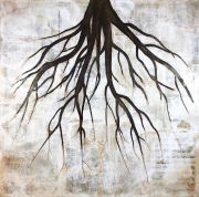 Image7_Amidon_S_Marrow