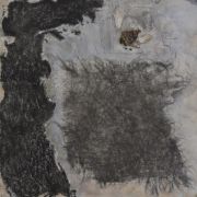 #61Cropped, DSC_0004