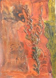 sericea-lespedeza-kansas-noxious-weed