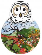 barred-owl