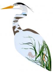 heron