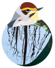 warbler