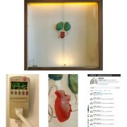 burg_micro1920x1920_notext