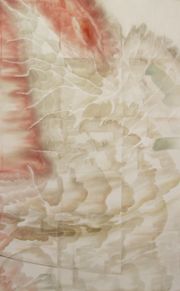 A Naked View of Our Mistakes