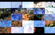 sgevurtz_plains_3