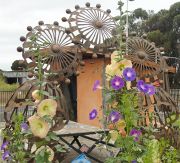 v3african-daisy02bg
