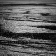 IMG_0220.JPG
