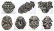 Imprint_composite2