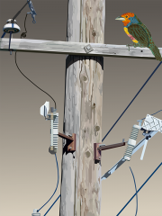 18in-x-24in-Natural-Habitat