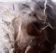 10-CAMOZZI_Lung_6788-2-960px