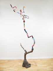 tree_whisperer
