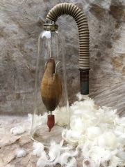 PLUCK THE FEATHERS TO PROTECT THE BIRD