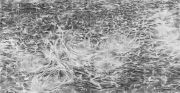 10_Plastic_Bags_in_Water_3
